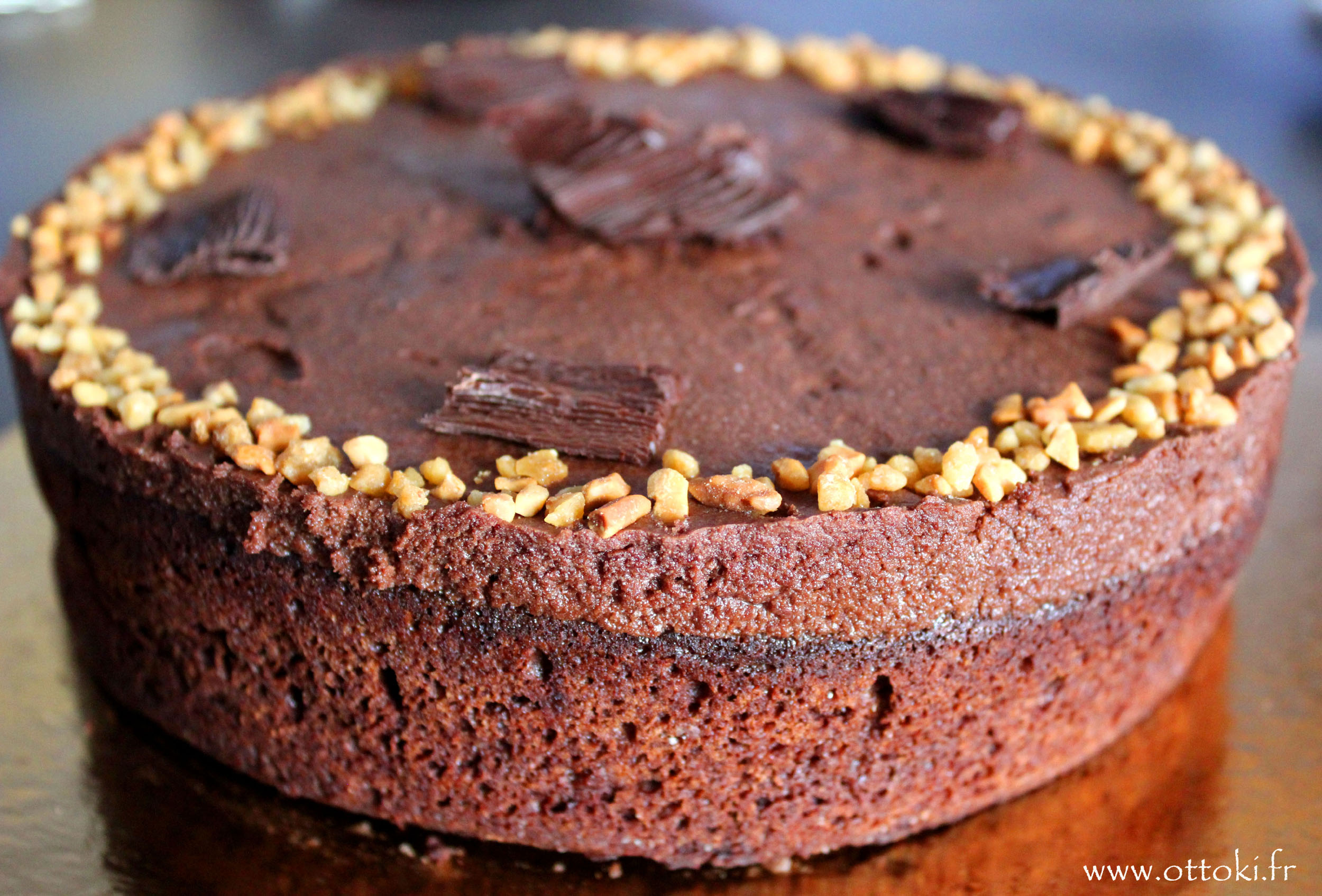 Le gâteau d'anniversaire double chocolat de Mercotte - gateau anniversaire mercotte